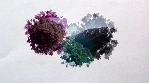 Paint Slides Stock After Effects