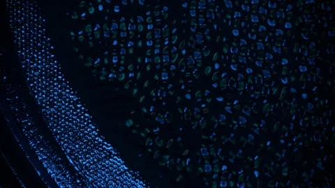 Paint in Slow Motion Stock Footage 115683884