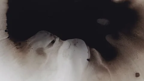 Paint spatter ink water drop black sprinkle white Video stock 257351746