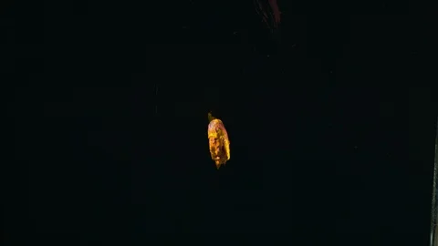 Paint Spinning In SLow Motion. Stock Footage 115909614