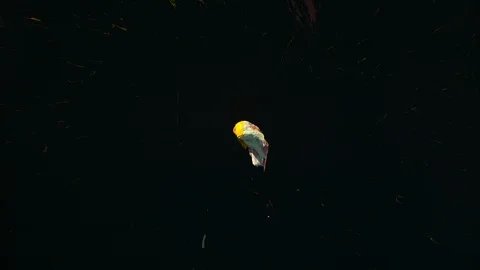 Paint Spinning In SLow Motion. Stock Footage 115914285