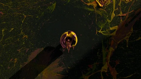 Paint Spinning in SLow Motion. Stock Footage 115915252