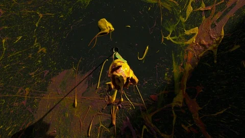 Paint Spinning in SLow Motion. Stock Footage 115915314