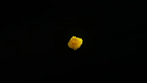 Paint Spinning in SLow Motion. Stock Footage 115918538