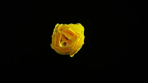 Paint Spinning in SLow Motion. Stock Footage 115919149
