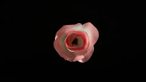Paint Spinning in SLow Motion. Stock Footage 115919898
