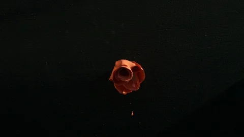 Paint Spinning in SLow Motion. Stock Footage 115920469
