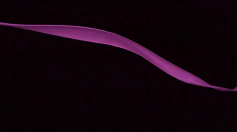 Paint splash in the air,  Slow Motion Video stock 30574534