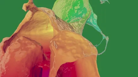This is paint splashs on close up shot of multi - colored liquid bunch fruit Stock Footage 336858726