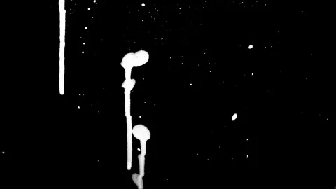 Paint Splatter Small Multi Spots 4 Stock Footage 94724530