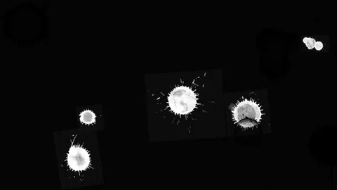 Paint splatter on transparent background Video stock 95551777