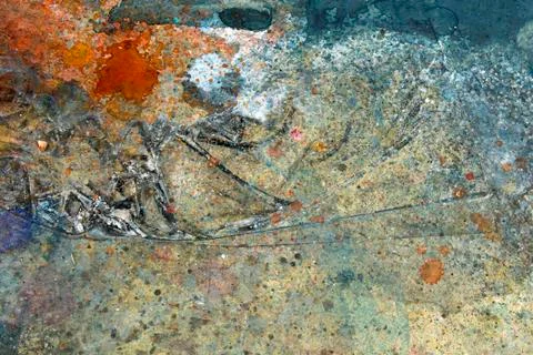 Paint splatter/stains on the floor background Stock Photos