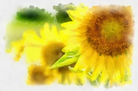 Paint of sunflower Stock Photos