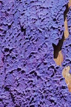 Paint Texture on old wall Stock Photos