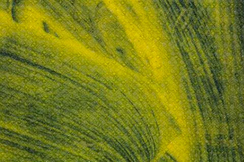 Paint texture painted background, copy space Stock Illustration