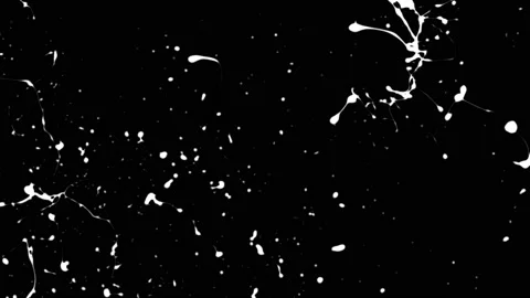 Paint Throws in Alpha Channel - Judging Paint Stock Footage 152853301