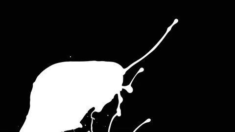 Paint Throws in Alpha Channel - Paint Faint Video stock 152853338