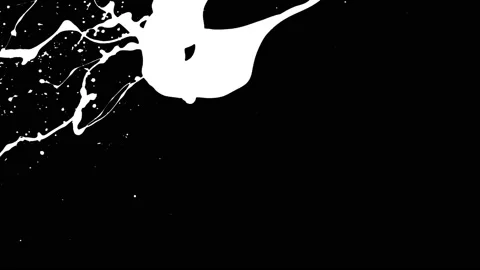 Paint Throws in Alpha Channel - Paint Guesses Stock-Footage 152853500