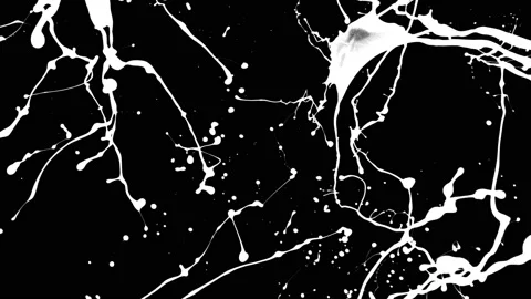 Paint Throws in Alpha Channel - Paint Fuss Stock Footage 152853521