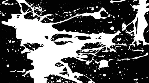 Paint Throws in Alpha Channel - Young Paint Stock Footage 152853240