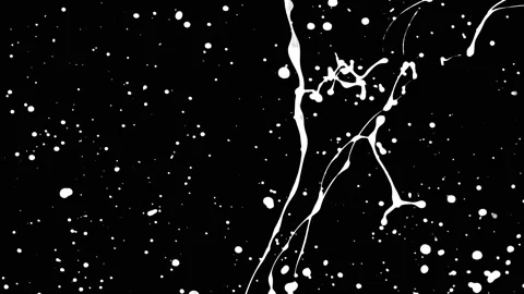 Paint Throws in Alpha Mode - Paint Delight Stock Footage 152852878