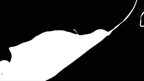 Paint Throws in Alpha Mode - Paint Ritual Stock-Footage 152852949