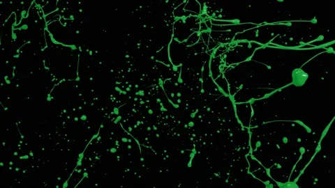 Paint Throws - Good Paint Stock Footage 152853224