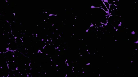 Paint Throws - Judging Paint Stock Footage 152853300