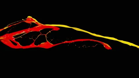 Paint Throws - Let There Be Paint 스톡 동영상 152852950