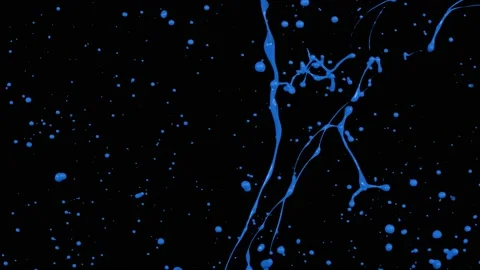 Paint Throws - Paint Delight Vídeo Stock 152852877