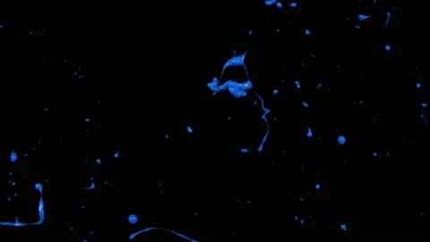 Paint Throws - Paint Induction Stock Footage 152853128