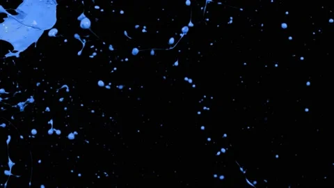 Paint Throws - Paint Intention Stock-Footage 152853446