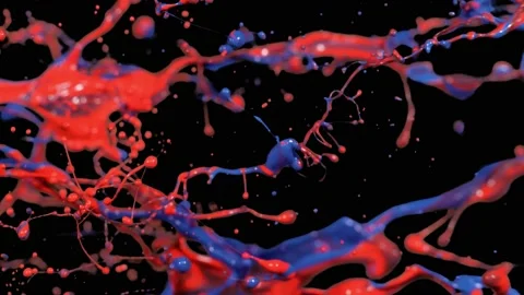 Paint Throws - Paint Official Stock-Footage 152852794