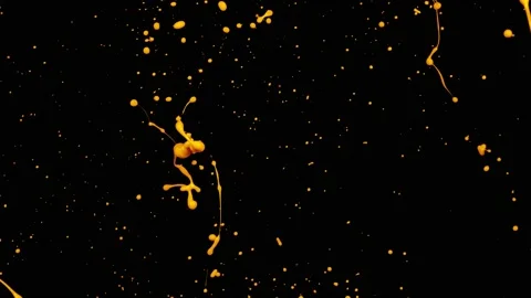 Paint Throws - Painting High 스톡 동영상 152853483