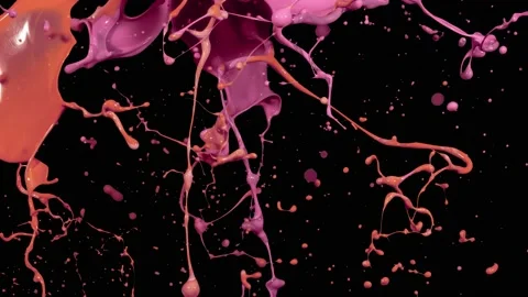 Paint Throws - Summer Love Видео 152852848