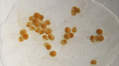 Paint under temperature Stock-Footage 112107685