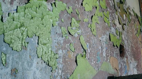 The paint on the wall Video stock 57325123