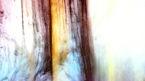 Paint in water Stock Footage 11105444