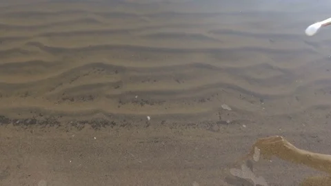 Paint in water Stock Footage 78771481