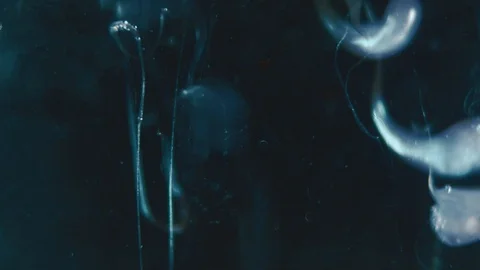 Paint In Water In Slowmotion Stock Footage 129252034