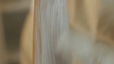 Paint wood construction Stock Footage 89005282