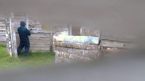 Paintball Stock Footage 168184053