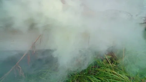 Paintball Stock Footage 168184414