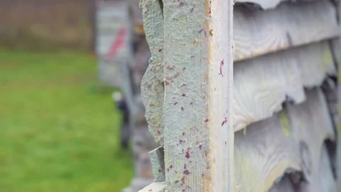 Paintball Stock Footage 168185101