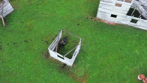 Paintball Stock Footage 168185435