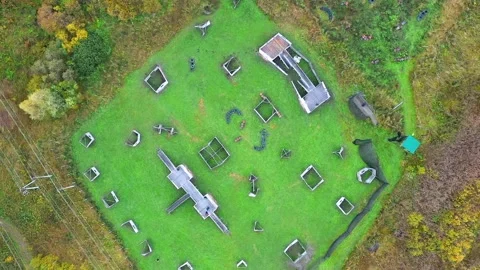 Paintball Stock Footage 168185458