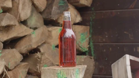 Paintball hitting log in background Stock Footage 90919347