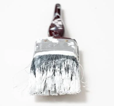 Paintbrush Foto stock