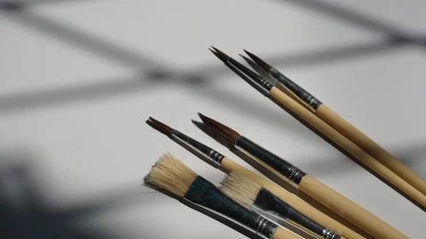 Paintbrushes on a white background with shadow from the window Stock Photos