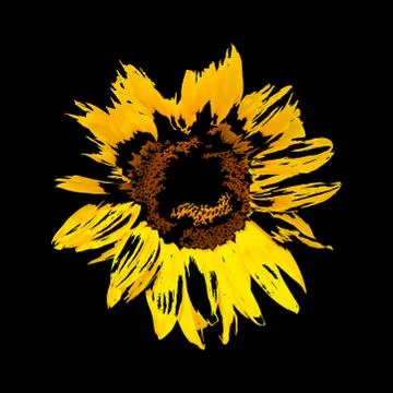 Painted abstract flower Stock Illustration